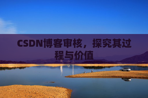 CSDN博客审核，探究其过程与价值